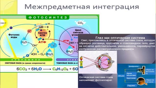 Инновационный опыт смотреть онлайн