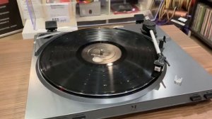 Music Public Kingdom TT21 AT