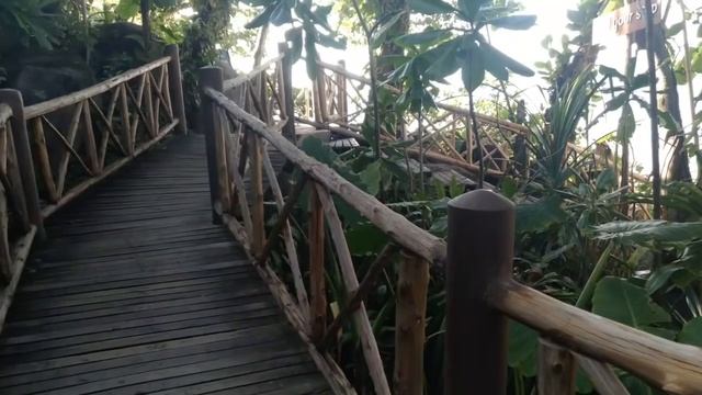 ФИКС ПРАЙС!НОВИНОК-МОРЕ-ТАЙЛАНД/ХРАМЫ смотреть онлайн