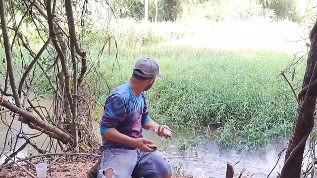 DOURADO, PIAPARA, PIAU 3 PINTAS, PIRACANJUBA E OUTROS PEIXES A CEVA DE BARRANCO TAVA BOMBANDO/PESCA смотреть онлайн