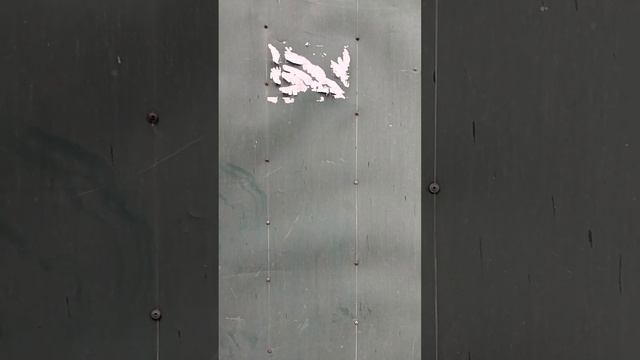 T04N01 11 смотреть онлайн