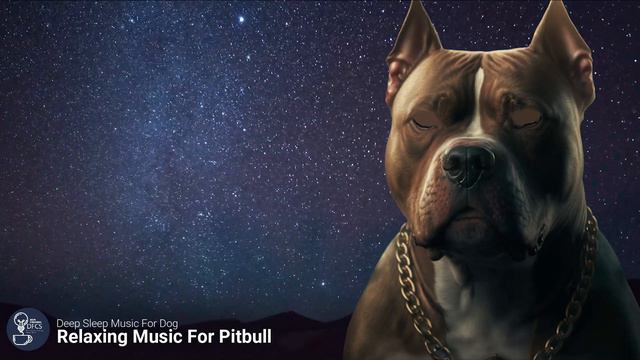 Deep Sleep Music For Dogs Pitbull Calming Music 30 Min Timer смотреть онлайн