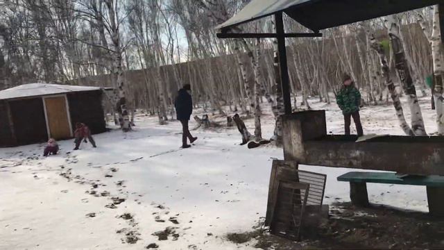 Уаз Патриот и семейная поездка в лес смотреть онлайн