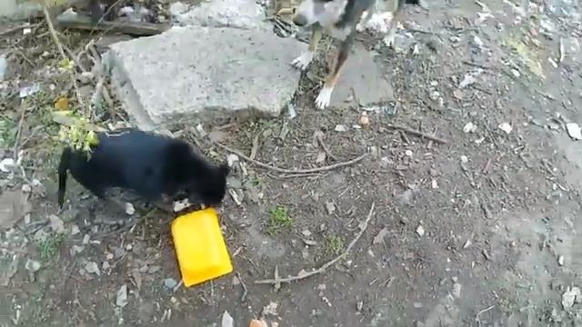 Выходной УГОВОРИЛ сделать / Прогулка - всем ДОСТАЛОСЬ ? смотреть онлайн