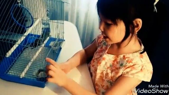 Мой попугай смотреть онлайн