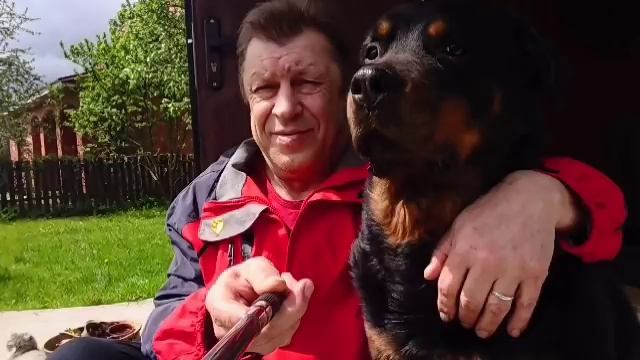 ИЩЕМ НОВОГО ЩЕНКА РОТВЕЙЛЕРА. РАЗГОВОР С ВЛАДЕЛЬЦЕМ ПИТОМНИКА. смотреть онлайн