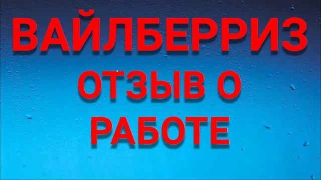 ВАЙЛБЕРРИЗ отзыв о работе. Как я работал в Вайлберриз. Сколько платят в wildberries? смотреть онлайн