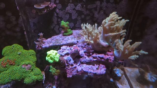 Revealing The Marine X 110.4: Uncover The Secrets Of A Whole New World!