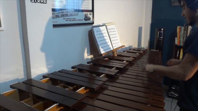 Der Kleine Paganini: N. J. Zivkovic смотреть онлайн