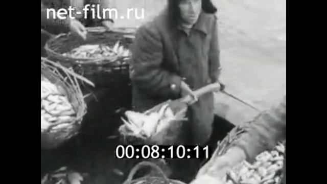 1969г. озеро Ильмень. Новгородская обл смотреть онлайн