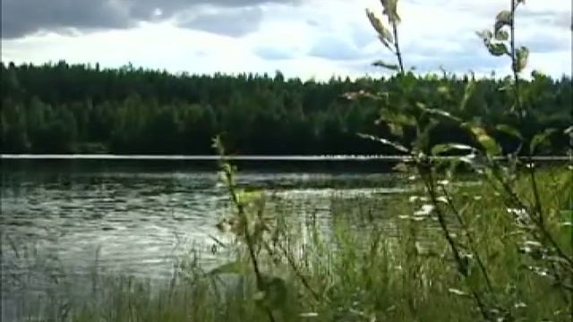 WRC Arch Rivals смотреть онлайн