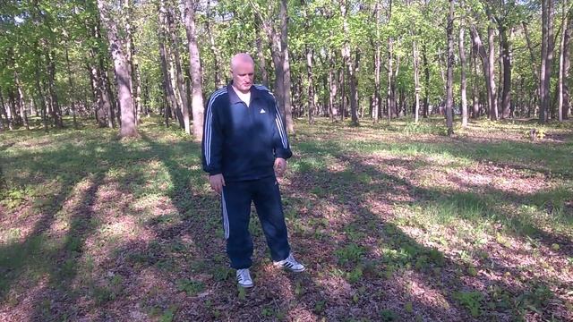 Тайцзи "Схватить птицу за хвост" смотреть онлайн