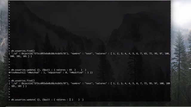 14.- Curso Mongo DB - Delete Arreglos смотреть онлайн