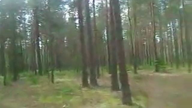 Артём Воронков - Грибной Сезон - 17 Июля 2014 - Выборгский район Ленинградской области смотреть онлайн