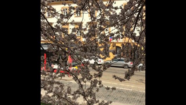 Prague Spring April 2018. Ujezd,Petrin. Прага Весной.Апрель смотреть онлайн