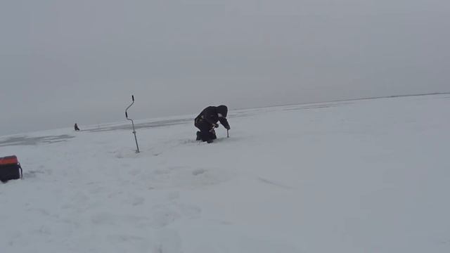 Ловля судака 2 марта 2018г. смотреть онлайн