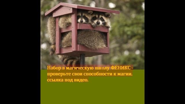 Венец безбрачия. или как наладить личную жизнь, простым и понятным языком. смотреть онлайн