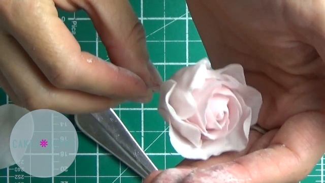 Холодный Фарфор Для Тех Кто Работает С Сахарной Мастикой ( и для чрезвычайно любопытных ) смотреть онлайн
