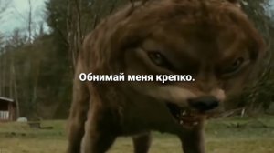 HOMIE - БЕЗУМНО МОЖНО БЫТЬ ПЕРВЫМ (текст песни)