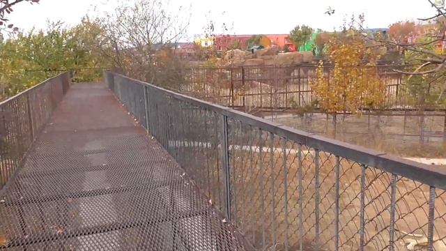 У Симона любовь? Парк "Тайган" ❤ смотреть онлайн