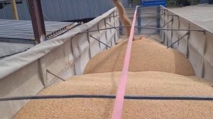 будни зерновоза: купил нового тягача