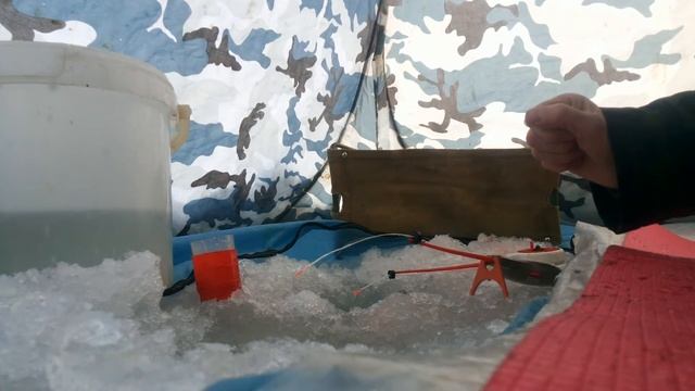 Рыбалка на Лысьвенском пруду 16.1.2016 смотреть онлайн