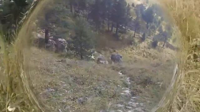Ворота мёртвая 15 09 2019 смотреть онлайн