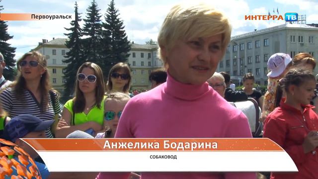 День кинолога 23 06 14 смотреть онлайн