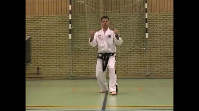 Тэ-Гэ (Toi-Gye Tul-Taekwondo techniques ) смотреть онлайн