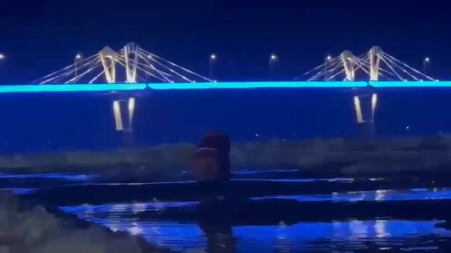«Амурские моржи» довольны мостом через Зею смотреть онлайн