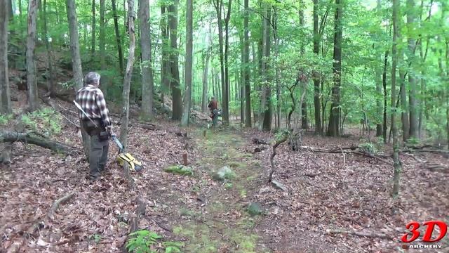 3D Archery - First Time Trying Field Archery