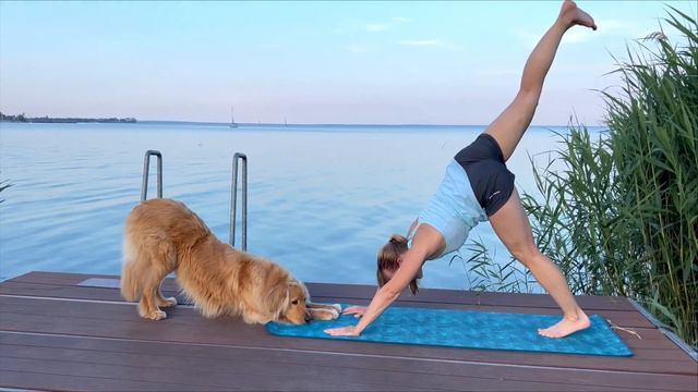 Yoga With Indy The Hovawart Inspired by Yoga With Adriene смотреть онлайн