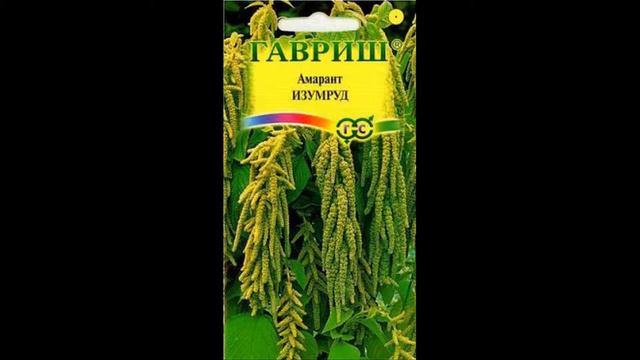 Амарант смотреть онлайн