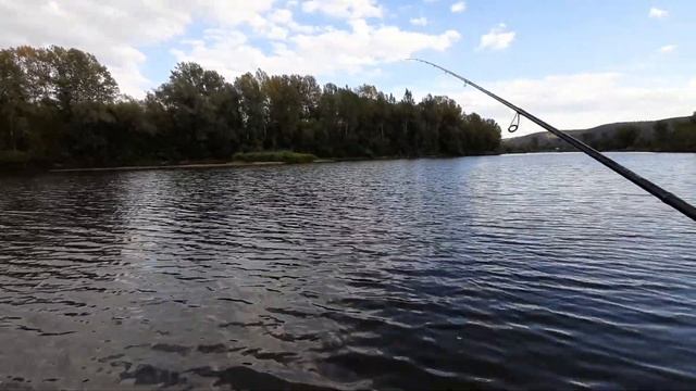 Эта приманка сделала всю рыбалку! Большой окунь оборвал оснастку! Рыбалка на спиннинг осенью! смотреть онлайн