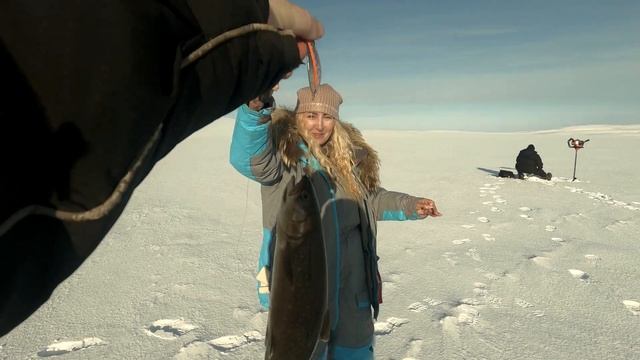 ЗА ГОЛЬЦОМ В ТУНДРУ НА МОТОБУКСИРОВЩИКЕ. ВЕСЕННЯЯ РЫБАЛКА. смотреть онлайн