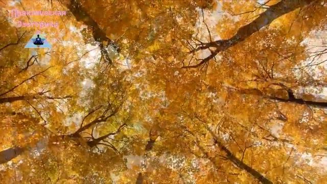 Деньги приходят сами ✵Думайте о том, что хотите получить смотреть онлайн