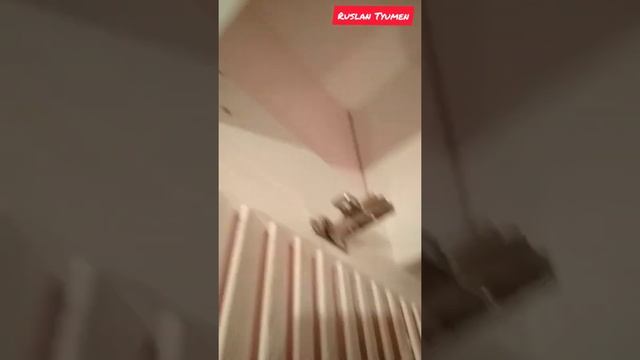 Встроенный шкаф с жалюзийными дверями смотреть онлайн