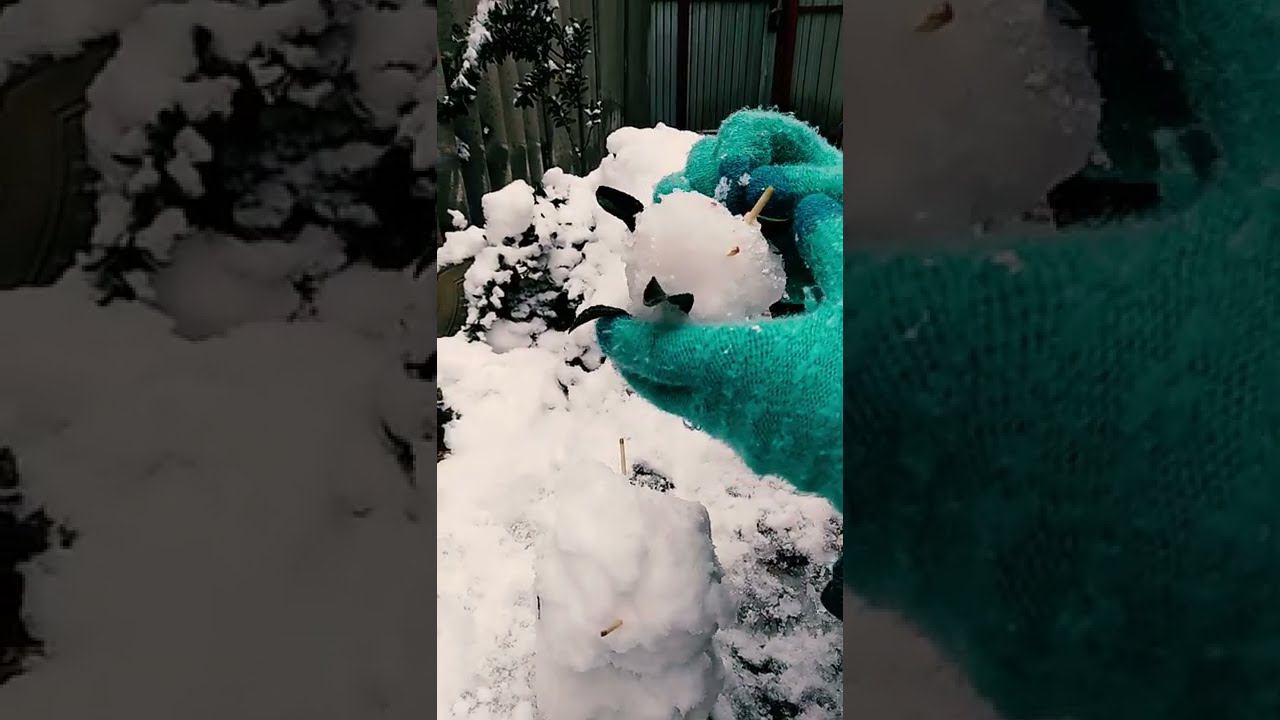 Смешные снеговики. Снежные котики. смотреть онлайн