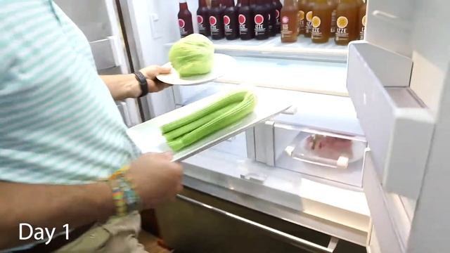 Single Compressor VS Dual Compressor | Refrigerator Types смотреть онлайн