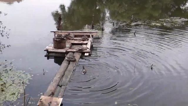 Природа Тамбова река Цна смотреть онлайн