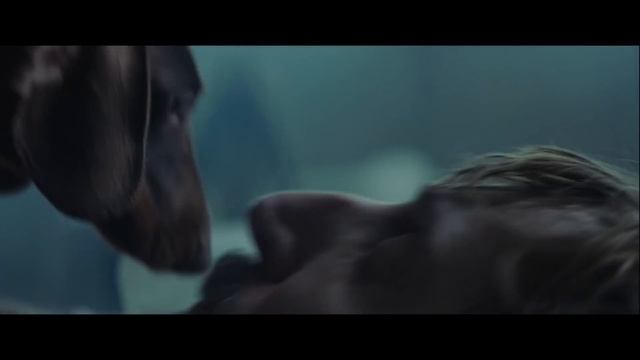 #ВСЕСМЕРТИ: Платформа (2019) ОБЗОР