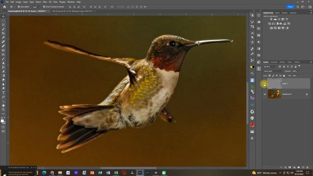 Meredith Images - High Pass Filter for Sharpening смотреть онлайн