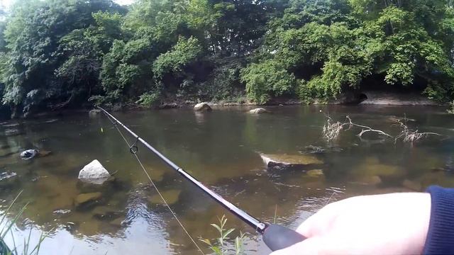 Моя рекордная форель. Рыбалка в Германии на ультралайт. смотреть онлайн