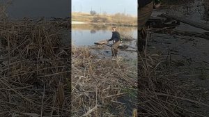 Покос камыша под водой! Лайфхак от нас)