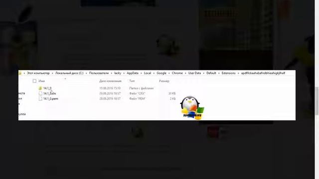 Как сохранить расширение google chrome для переноса смотреть онлайн