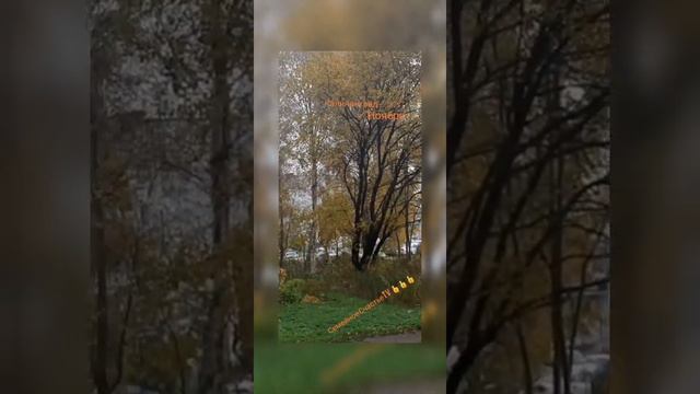 "В Калининграде красивая золотая Осень" смотреть онлайн