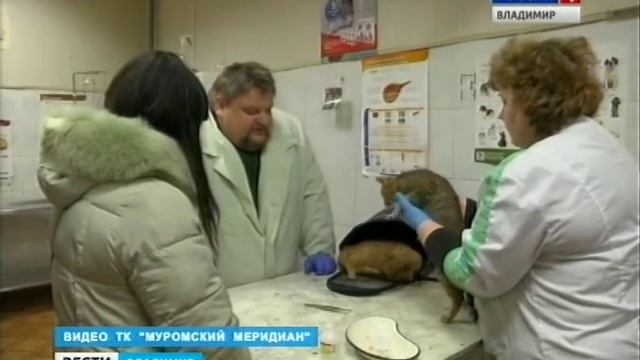 Муромские живодеры 1720 смотреть онлайн
