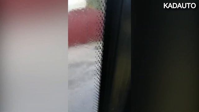 Инцидент на ул. Батальной в Калининграде. 09.09.19 смотреть онлайн