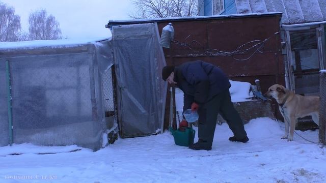 Подсадные утки зимой. смотреть онлайн