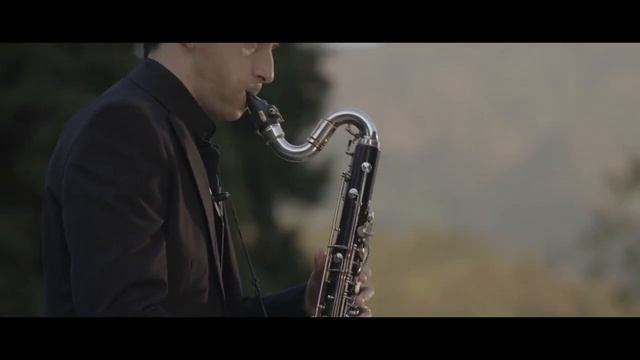 Bach (arr.Ferrari) - Cello Suite No.1 in G, BWV 1007: Sarabande Bass Clarinet Solo смотреть онлайн